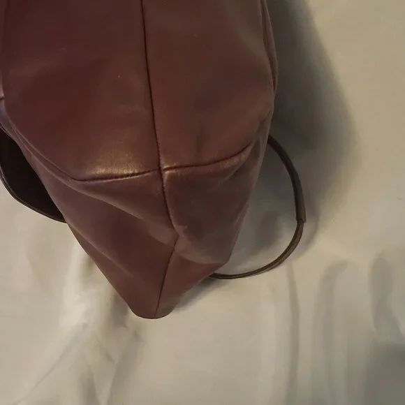 Coach Campbell Camera Bag and Tote Oxblood/Burgundy - EXC!!